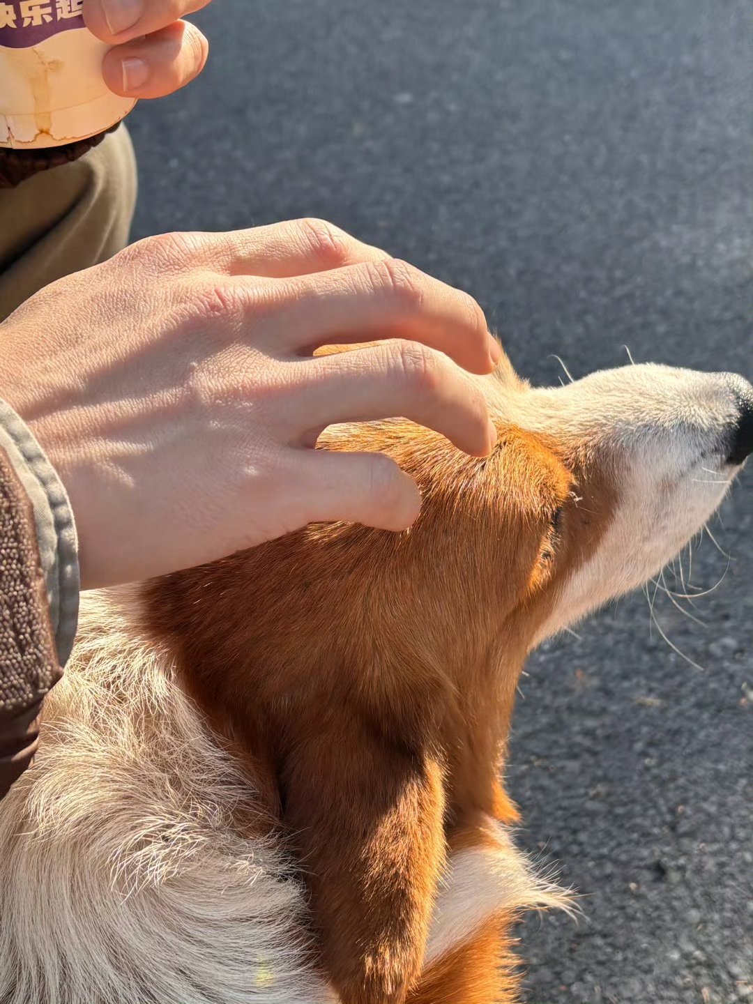 黄俊捷今日份营业，素颜+短寸都帅成这样小黄拍陈孝春感觉妆造是涂黑了的，还是很帅 