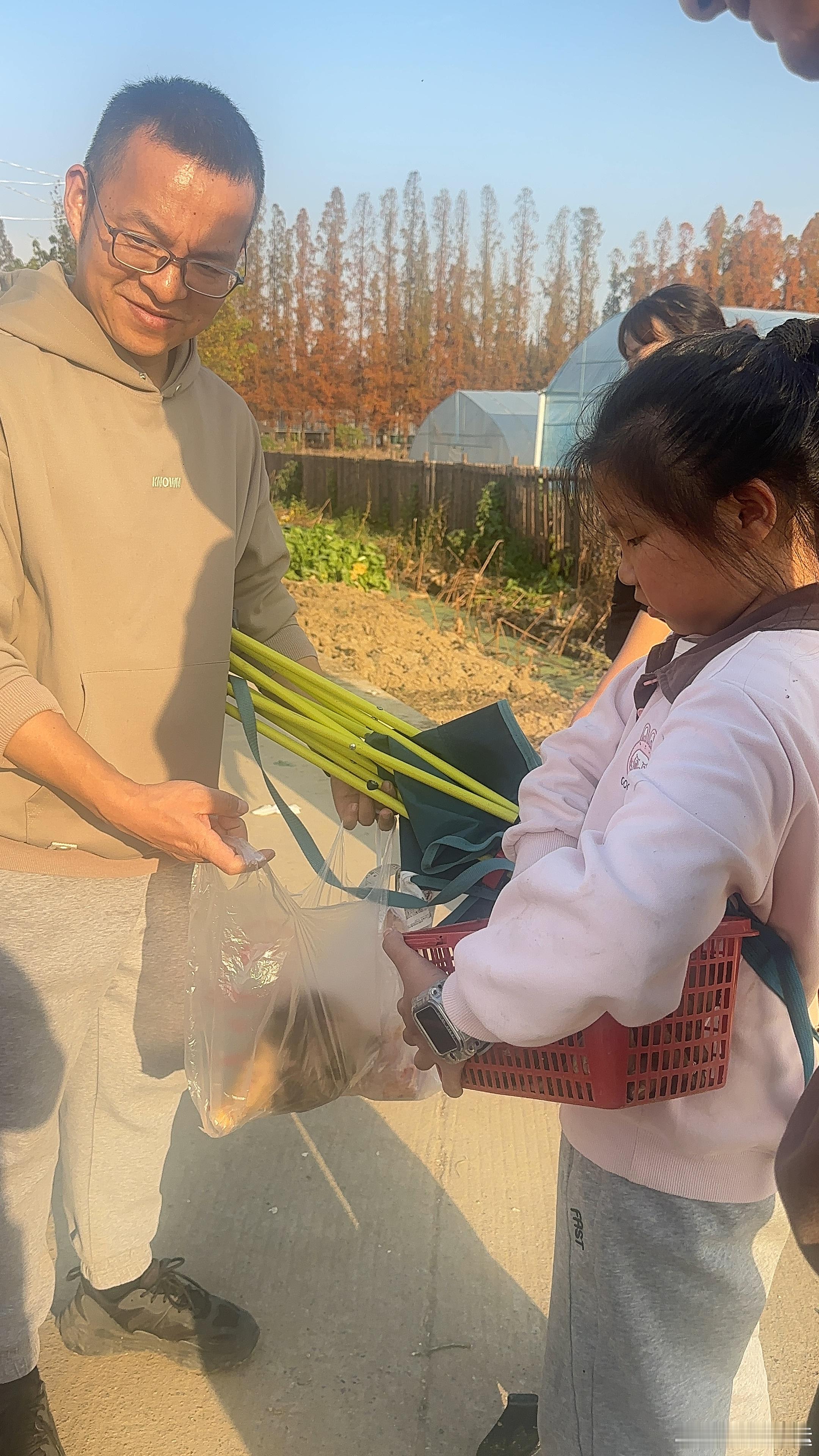 享受挖红薯的快乐现在的孩子太需要接地气的活动了郭炜炜辞去西山居CEO职务相信他还