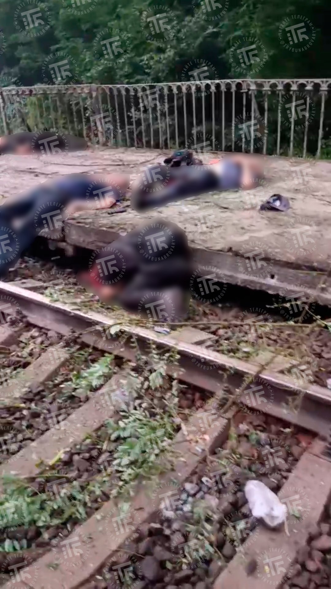 😢 他们死于俄罗斯的袭击：至少8人在“花卉站”遇难这些人当时只是在车站等待回家