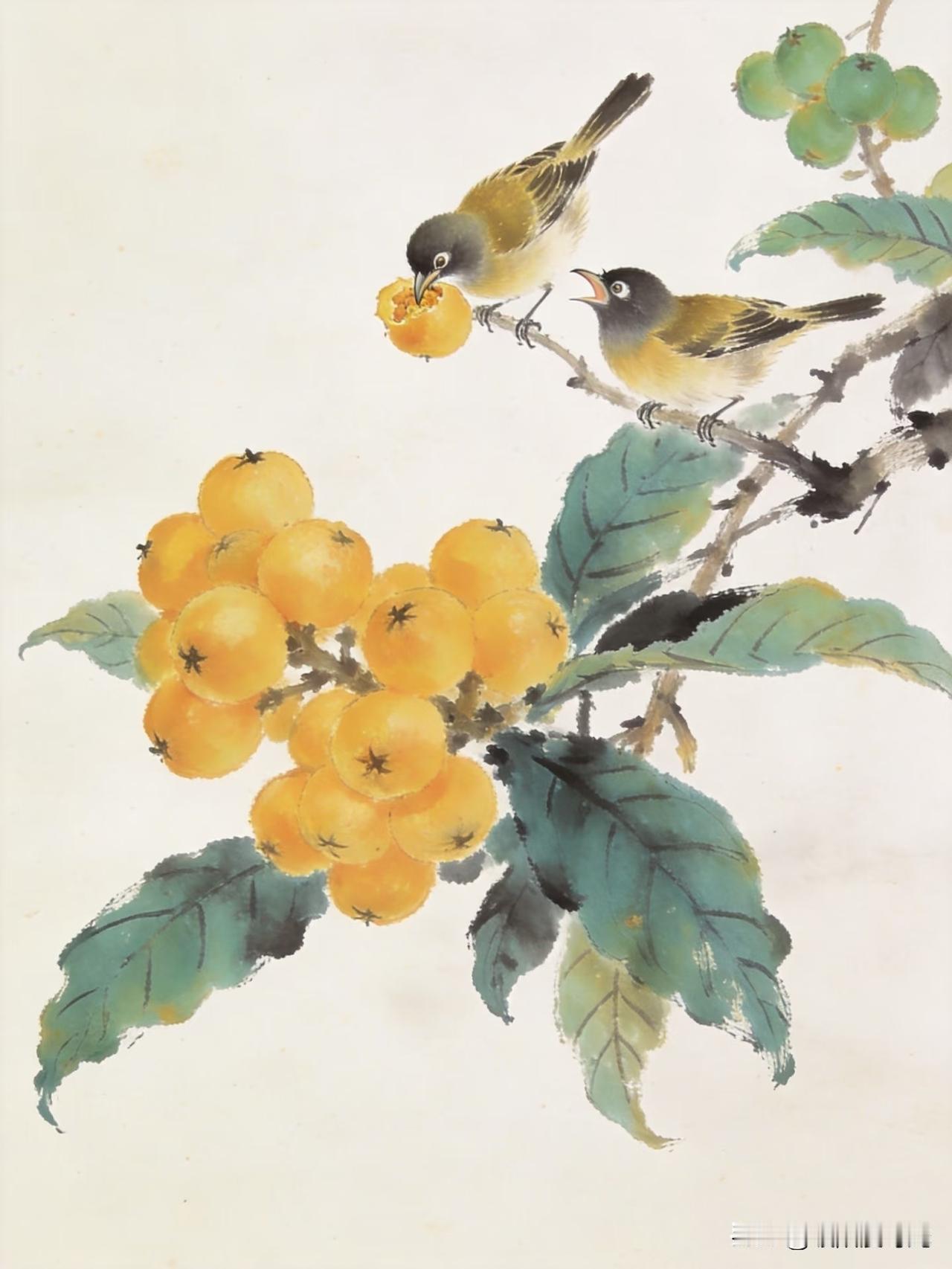 一树枇杷熟，鸟鸣间藏着初夏甜意。
小柿国风插画分享
枇杷树果 国画枇杷图