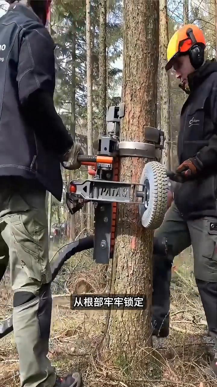 机械智能修树。
这就是为什么现在大型农场早就不靠人工上树修枝了，不是请不起人，而