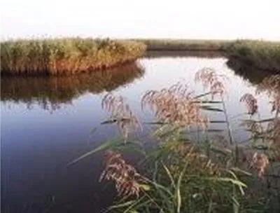 #秋日景色随手拍#