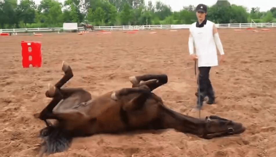 董思成让马打滚像AI的  看了董思成训马的场面太惊讶，《镖人》拍摄现场这段太震撼