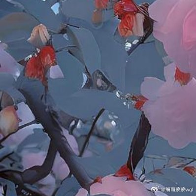 我爱这个世界，因为它残酷的美 
