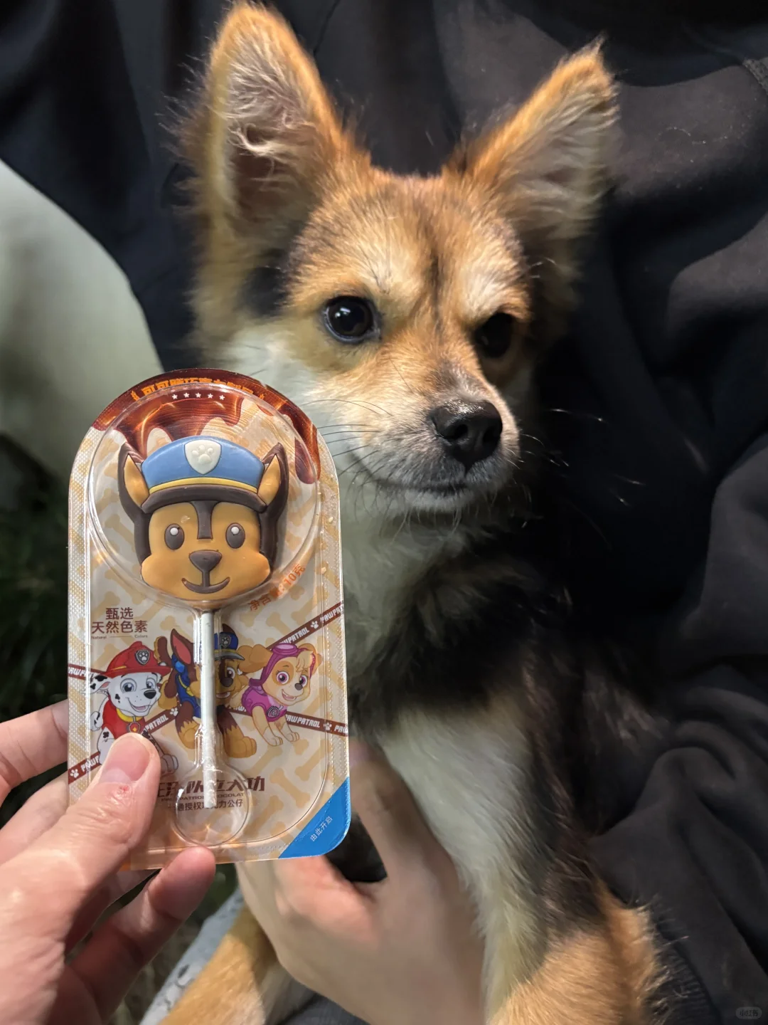 汪汪队立大功山寨成员：小黑