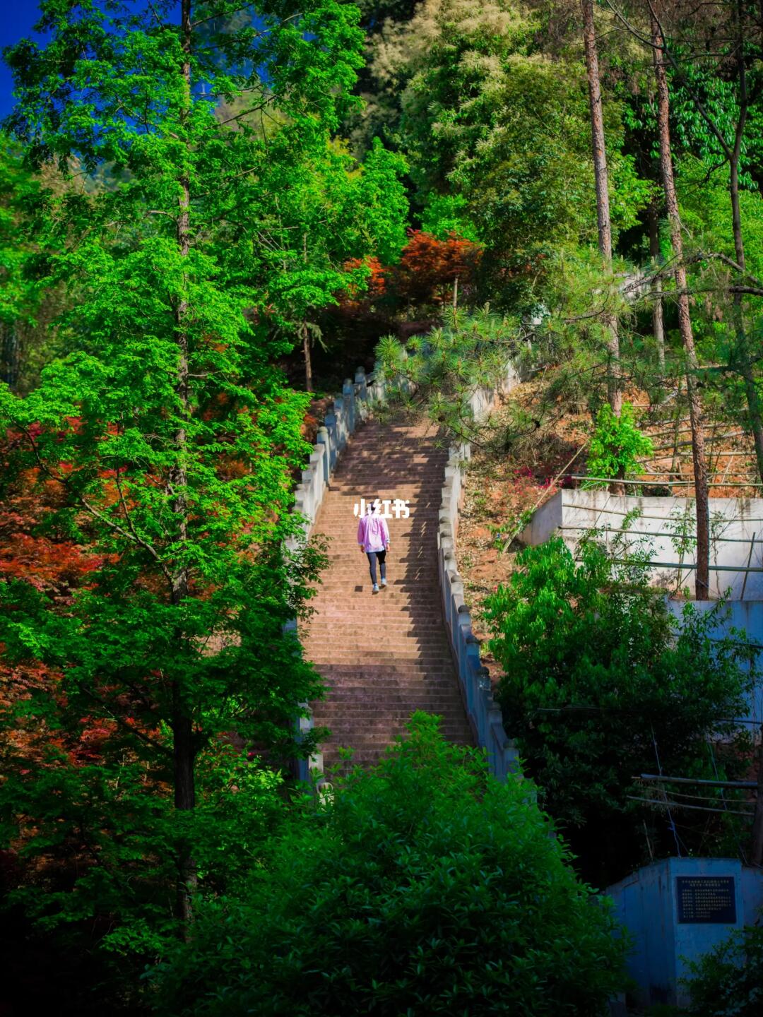 成都1.5h🍃徒步挂壁天梯上的隐秘古寺