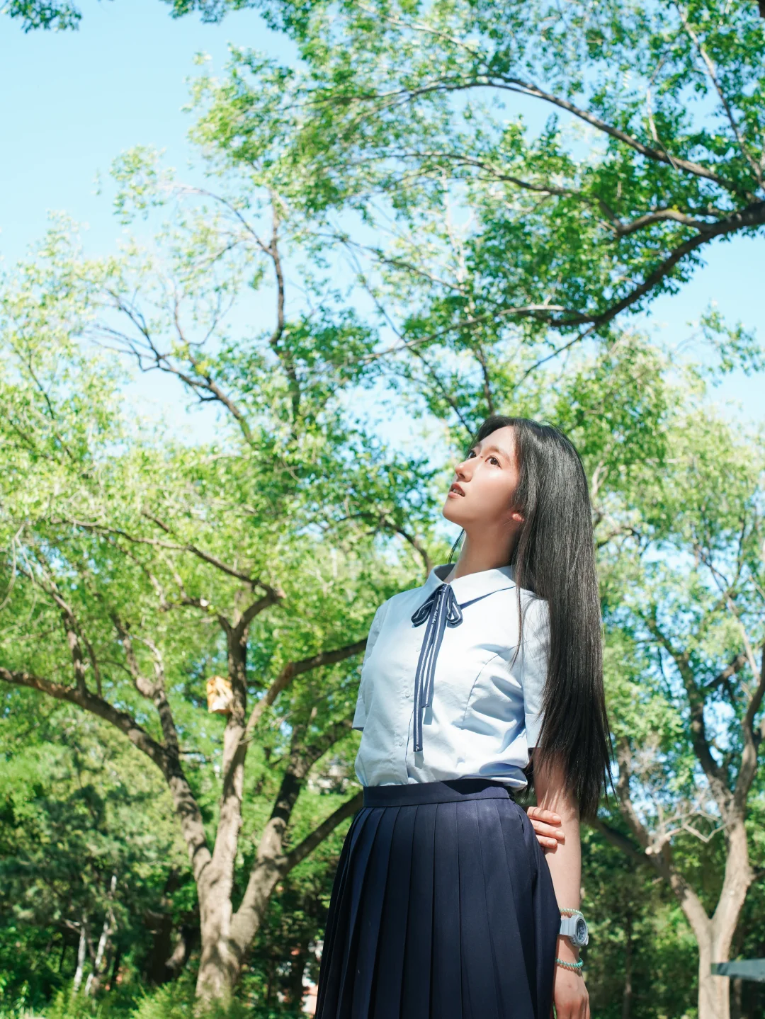 北林的毕业季🎓