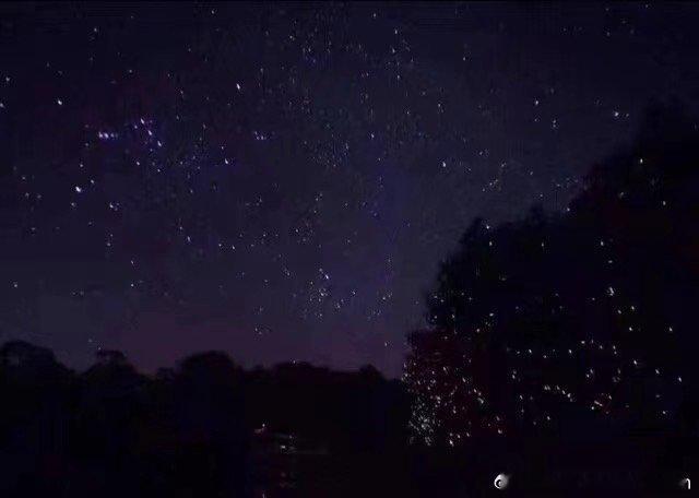 在寻常日子里学会开解懂得释怀#情感语录# I那就是山河岁月中最好的烟火草丛里飞舞