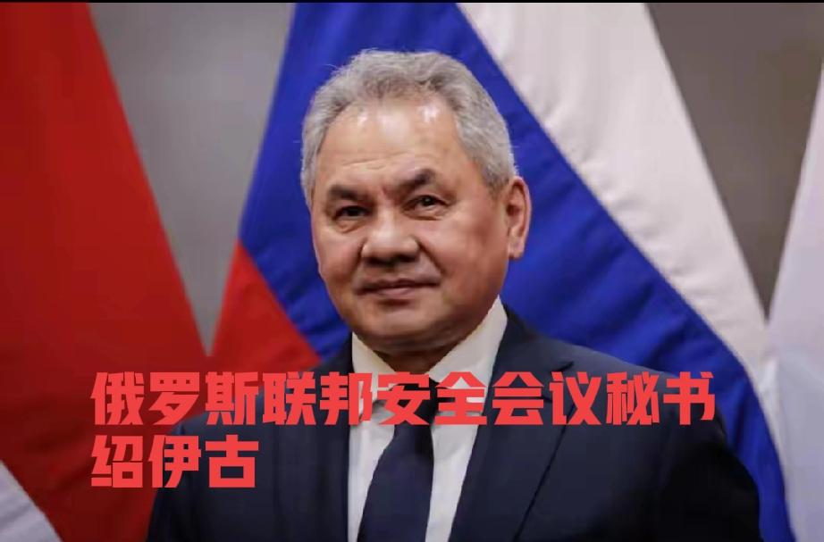 日本被称呼“九头蛇”，太带劲，一起斩杀妖魔鬼怪，12月2日，在中俄战略安全会议上