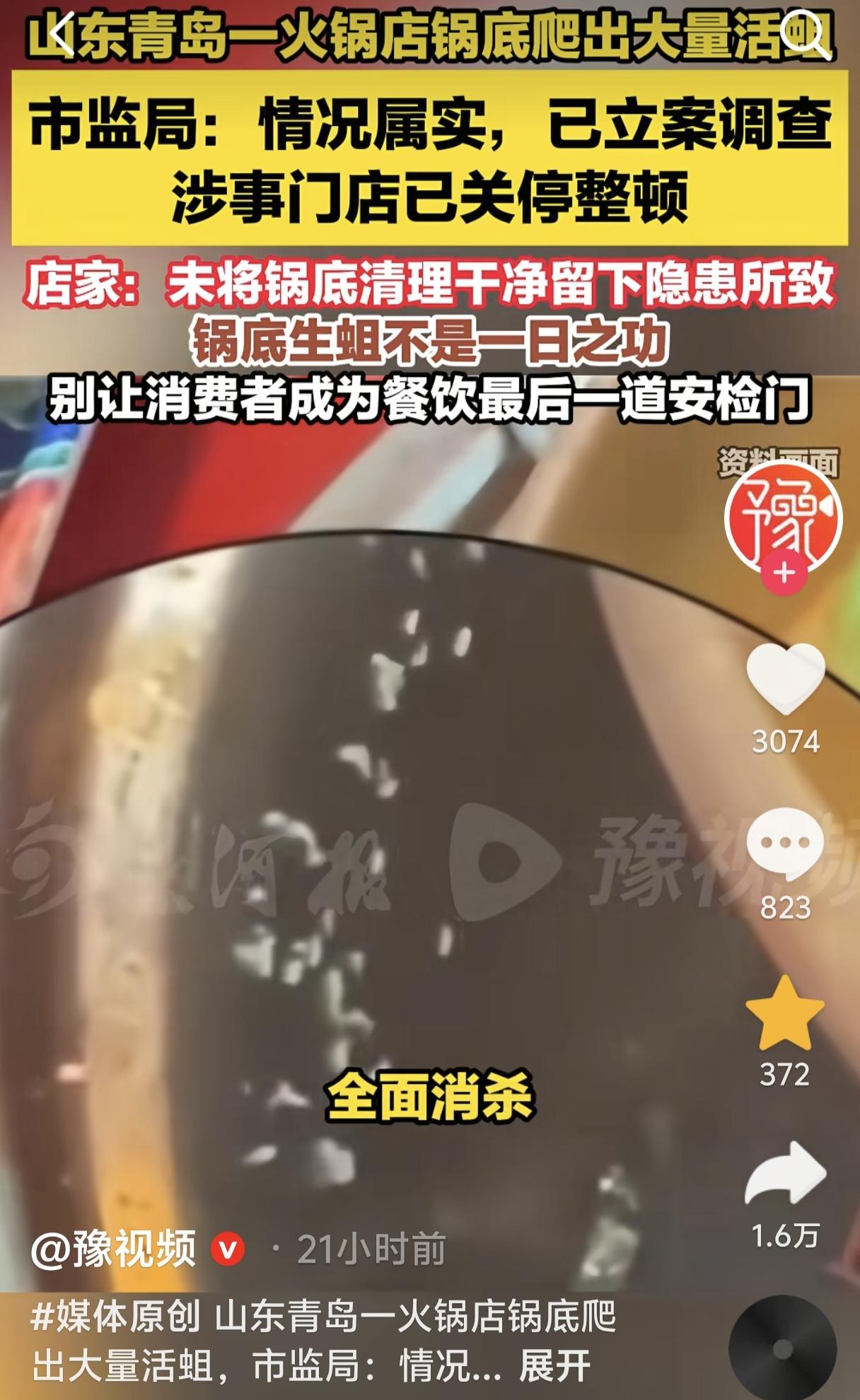火锅店锅底爬出活蛆，最该被追问的不是虫子，是良心

说实话，刚看到这个新闻，我手