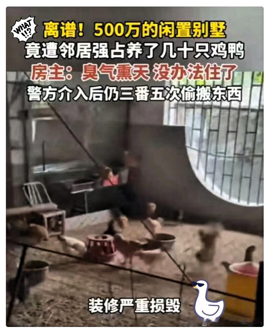 “脸都不要了！”福建一男子回老家祭祖，意外发现闲置多年的别墅里居然有动静，看了一