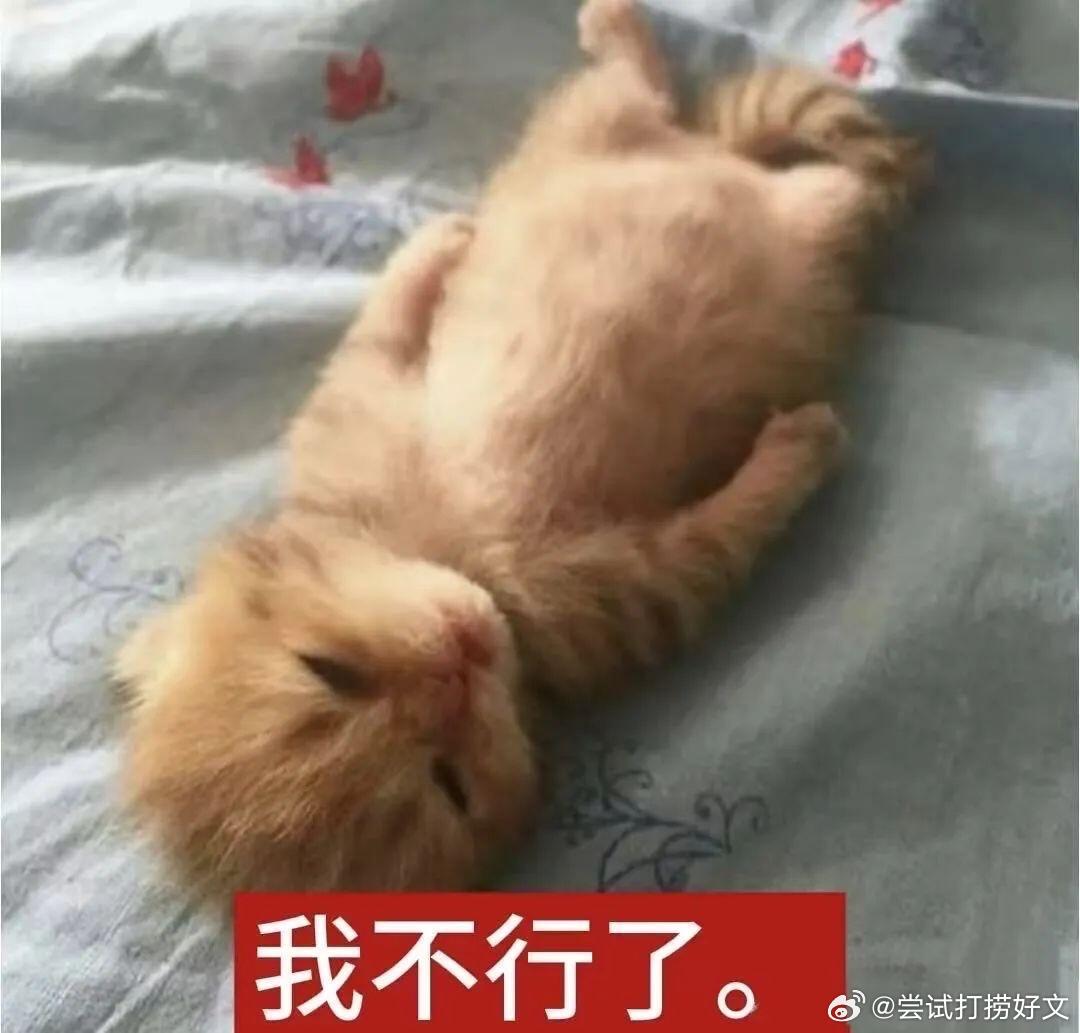 感冒+月经，浑身实在难受今天请假躺着没去上班而且这一次不知道怎么的月经量格外的大