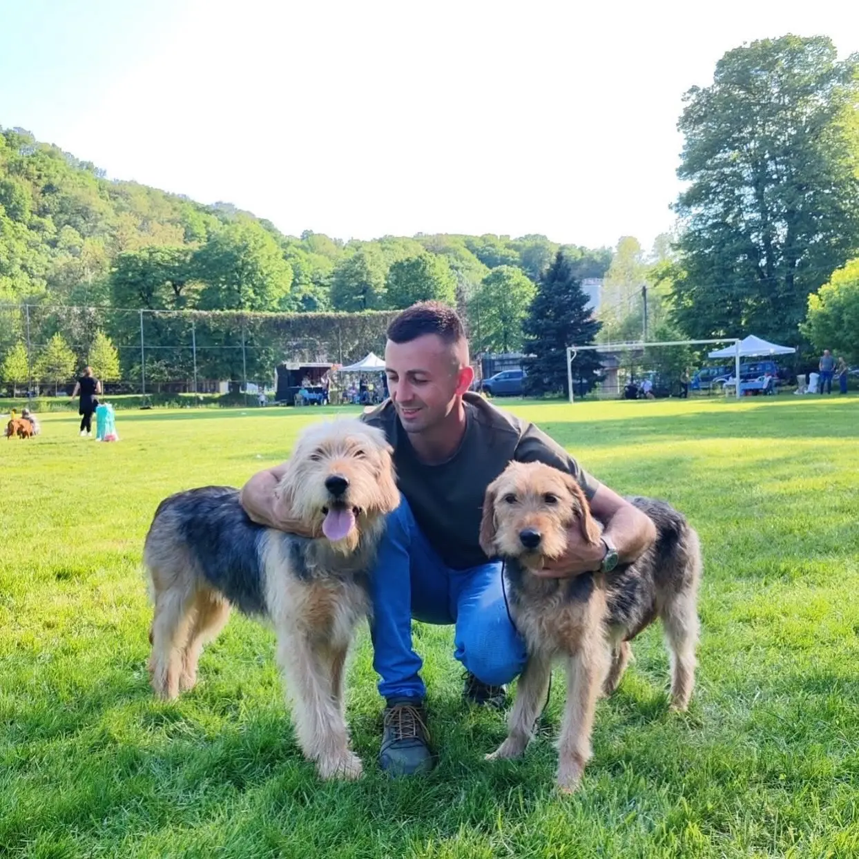 巴尔干半岛“波斯尼亚山地猎犬”