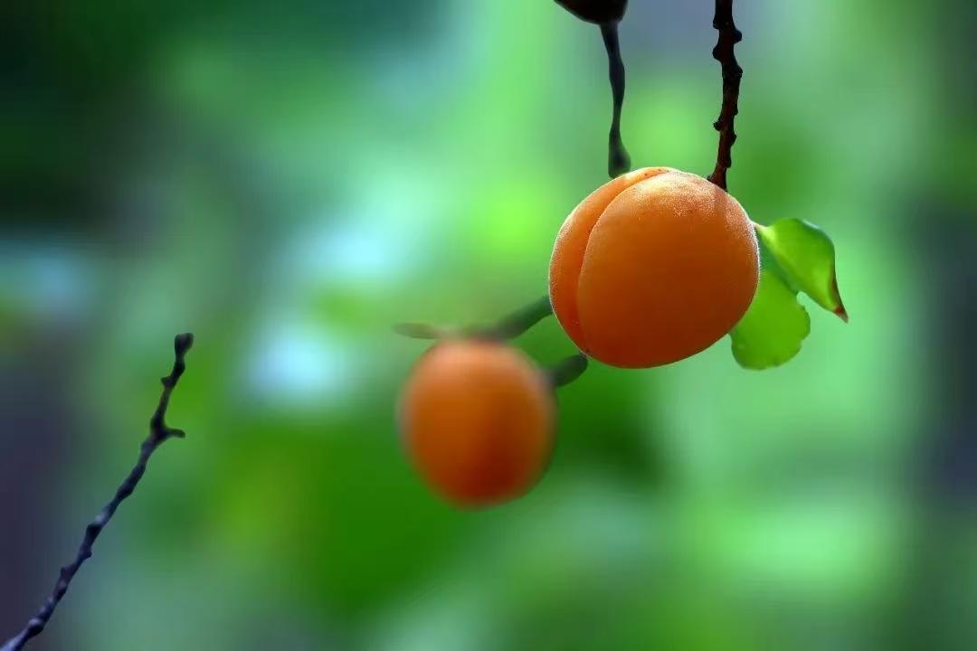 为什么战友群里很少有人发消息。前两年我们连队建了一个战友群，刚开始战友们都很活跃