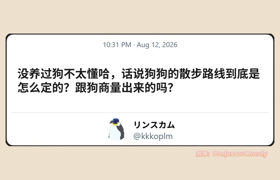 有懂的吗？meme