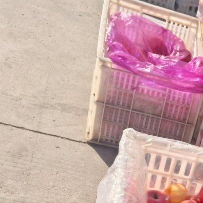 随手拍赶大集！ 