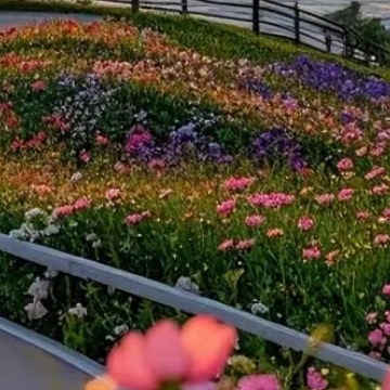 脸上有微笑，心中有阳光，眼里有风景，抬头所见皆是美好。早安🌞 