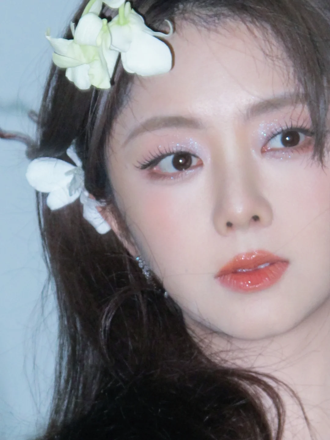 给松韵拍的百花迎春ccd📸