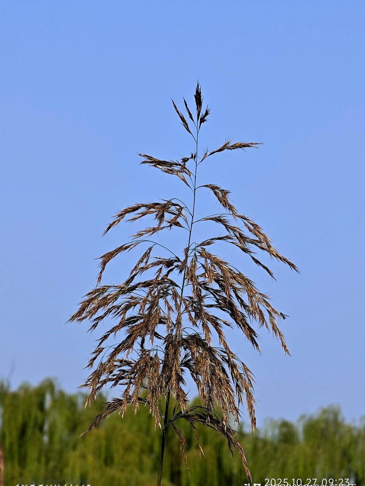 凌晨一点，小赵把朋友圈滑到三天前，依旧睡不着。

她刚跟同事在群里吵谁背锅，屏幕
