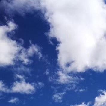 森林驿站[超话] | ‍阳光信用 每日‬一善 要想活得顺心，就要学会放下。只有对