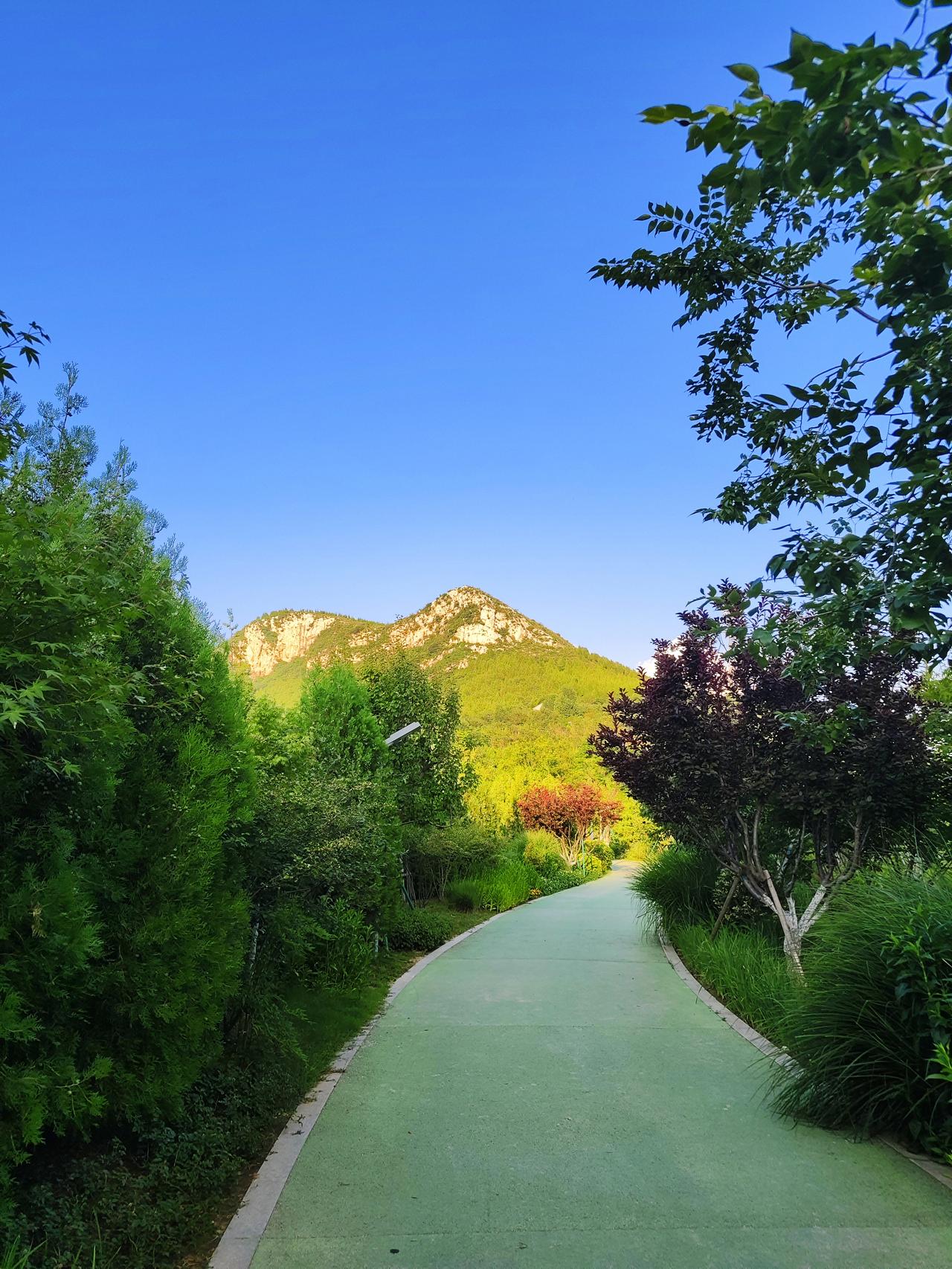 绿意盎然的夏日“生态廊桥”！今天，我俩又去佛慧山东南门景区了，这里是个百去不厌的