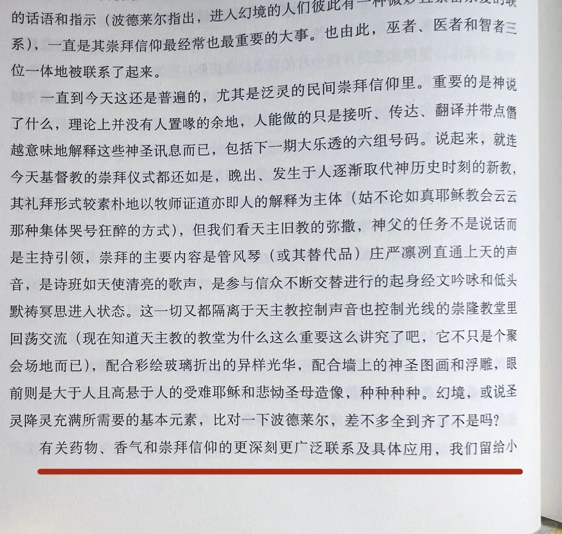 想不到阿城是个全能型选手