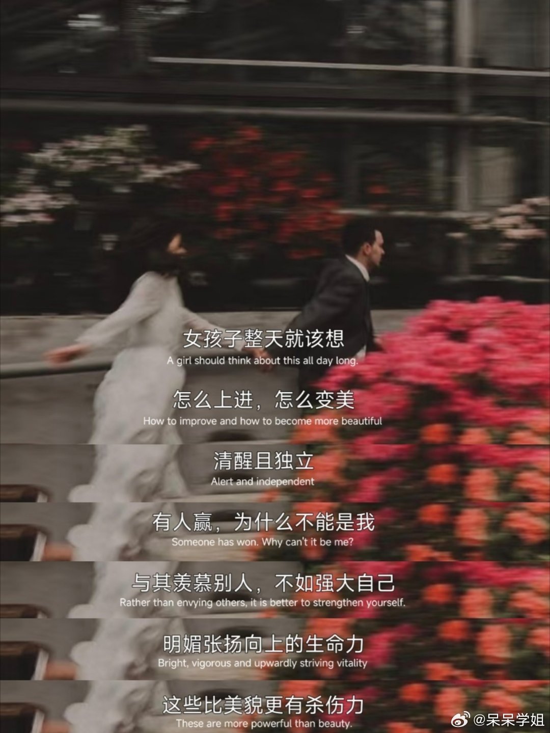 “野性生长，自有光芒” 