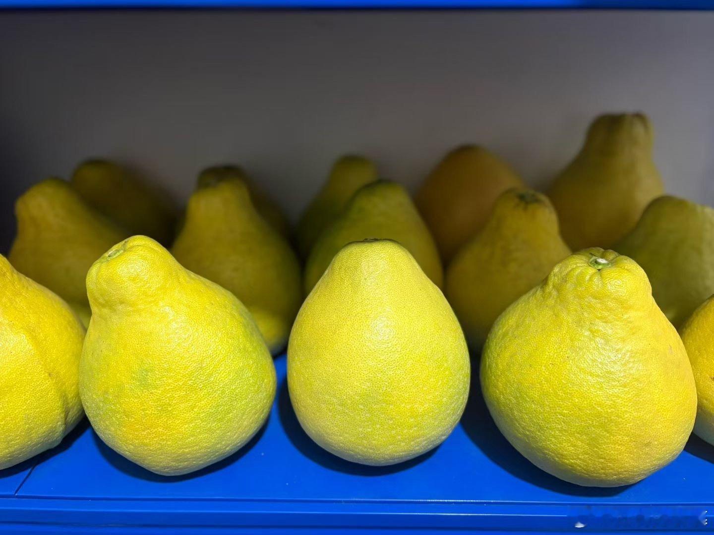 柚子，我的最爱 