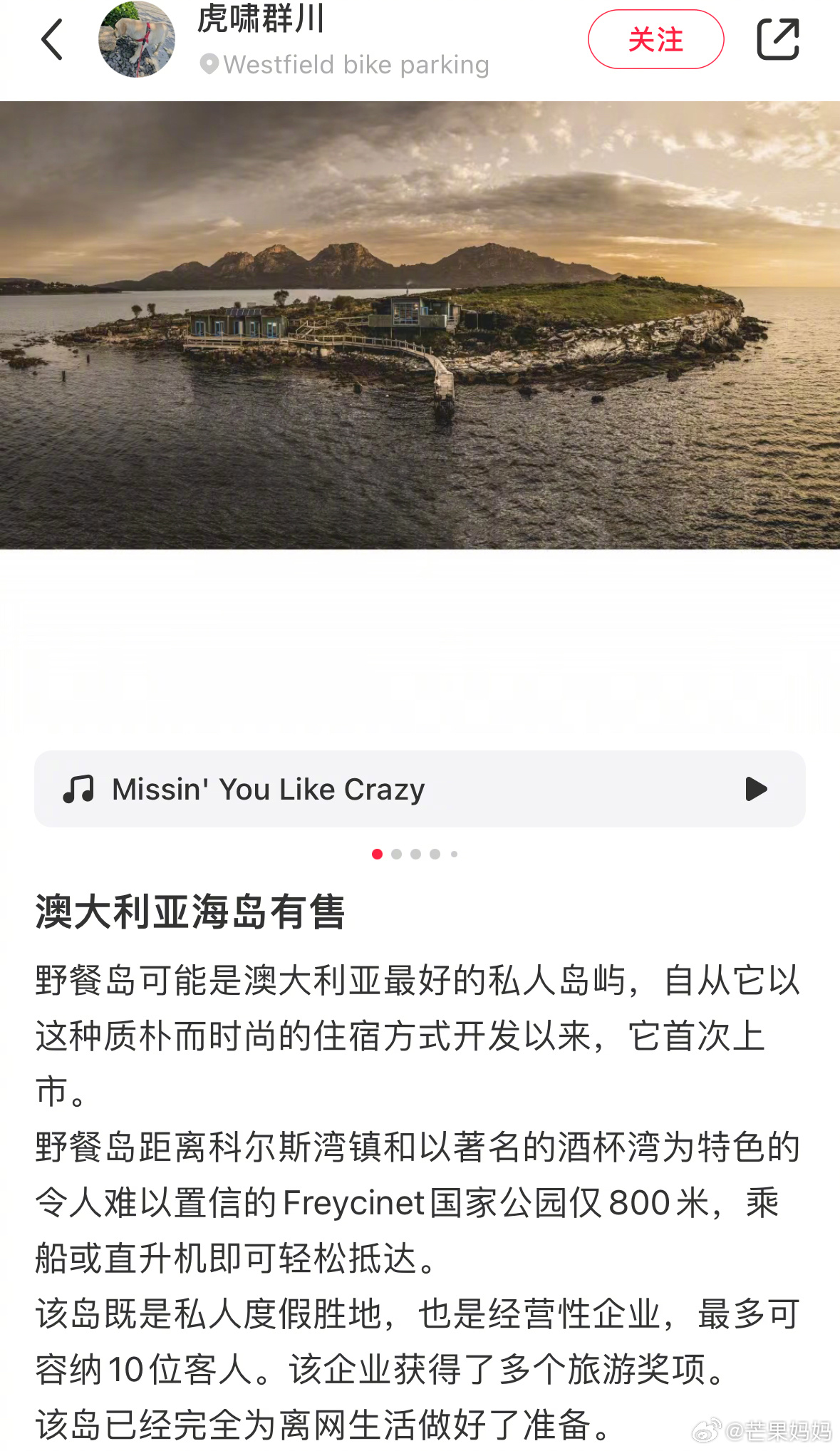 澳大利亚海岛有售！不过你们不买，那我也不买了[开学季] 