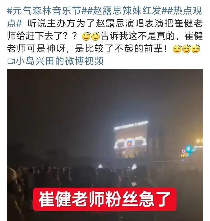 🍉赵露思音乐节主办方为了赵露思演唱表演把崔健给赶下去了。 ​​​