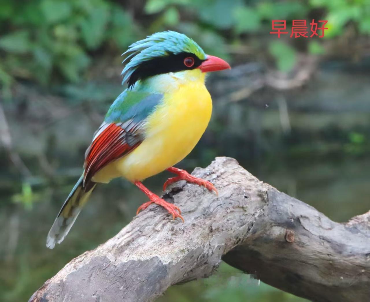 各位老师：早晨好