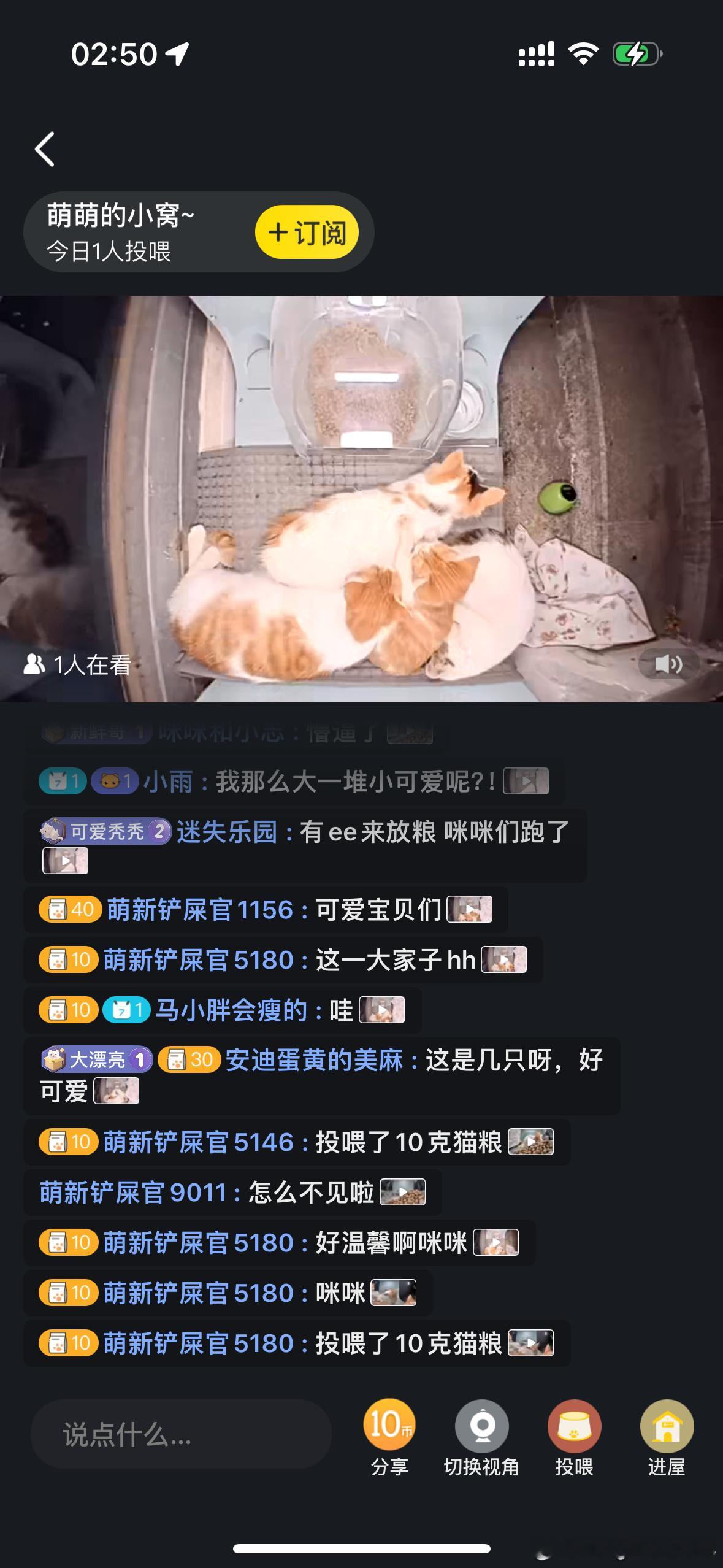 是谁半夜不睡觉在云喂猫猫呢原来是我呀[求关注]感兴趣的ee ef们也可以下载这个