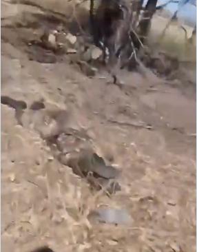 图文：俄步兵用手机拍摄沿着死亡之路行军视频    路上遍布俄军士兵遗体

一名俄