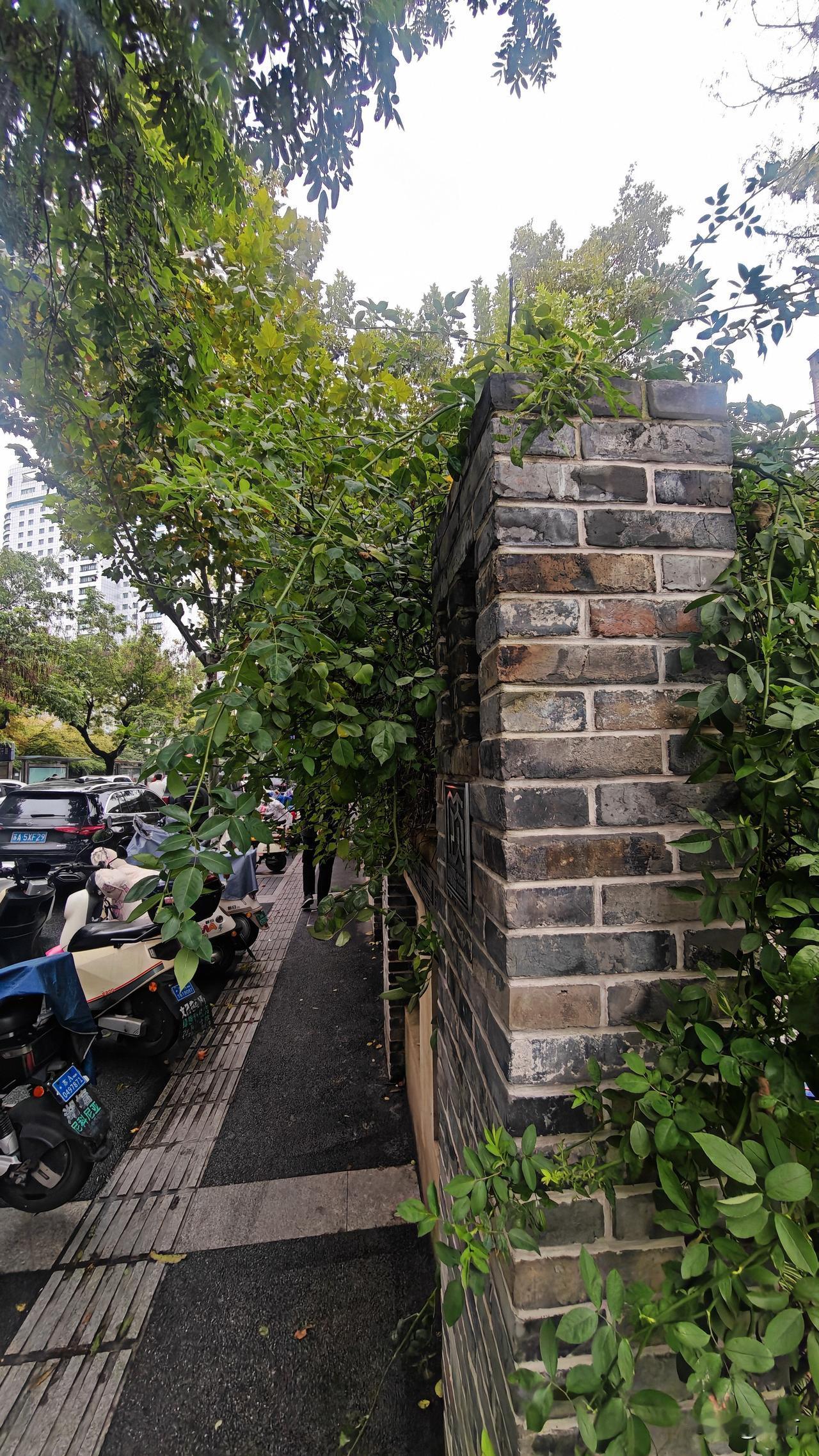 杭州人家里真的没有秋裤吗？
包子铺的工作最大的困难就是冷。这边的早餐铺都没有窗户