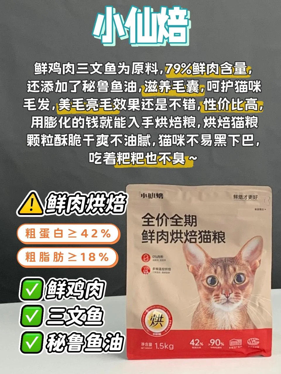 猫咪掉毛别焦虑！自用美毛猫粮推荐！