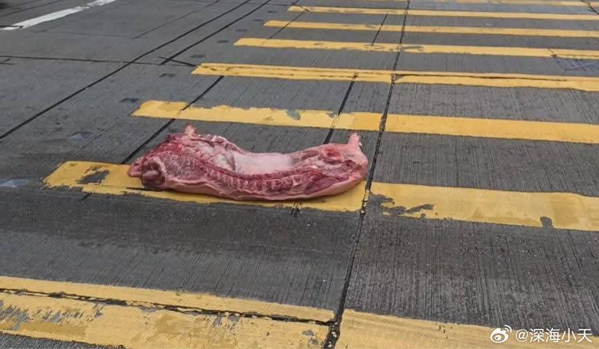 网友发的香港马路这是抛尸吗？动物科普香港媒体用词