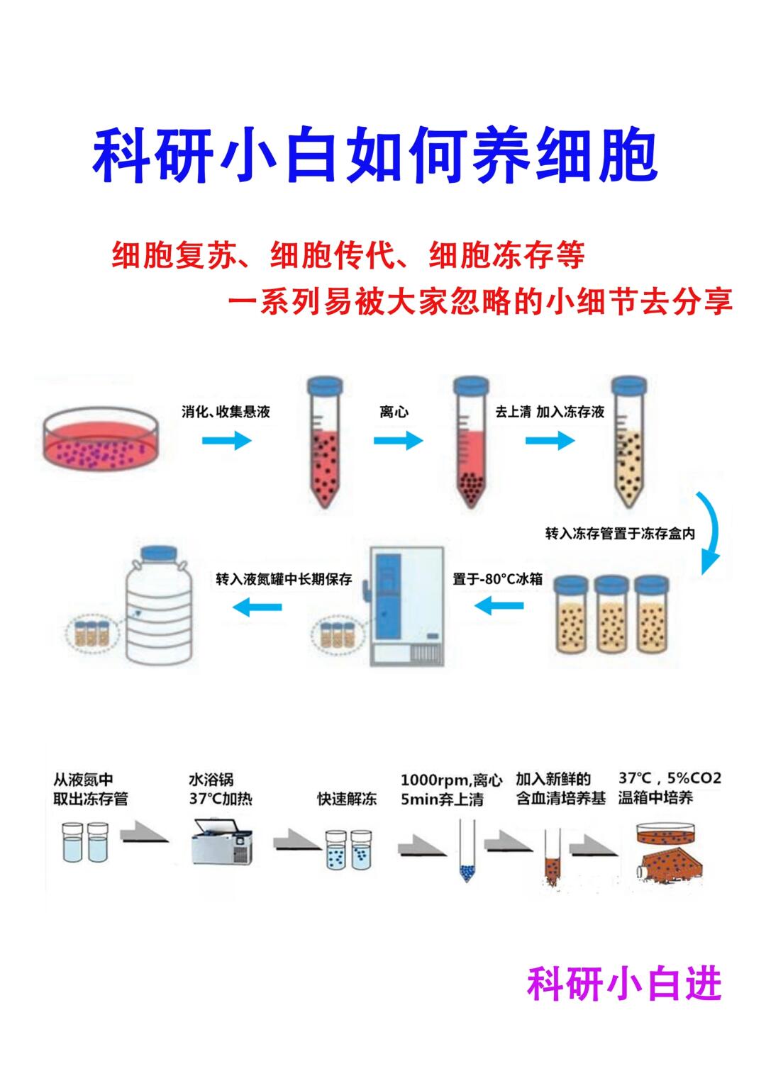 导师以为你会但不一定教你的细胞培养技术