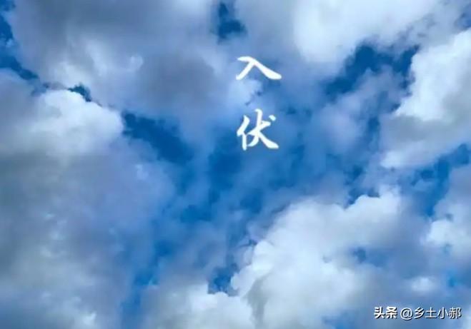 “入伏在月头，中伏热死牛”，7月15日入伏，今年伏天有多热？
 
随着公历六月份