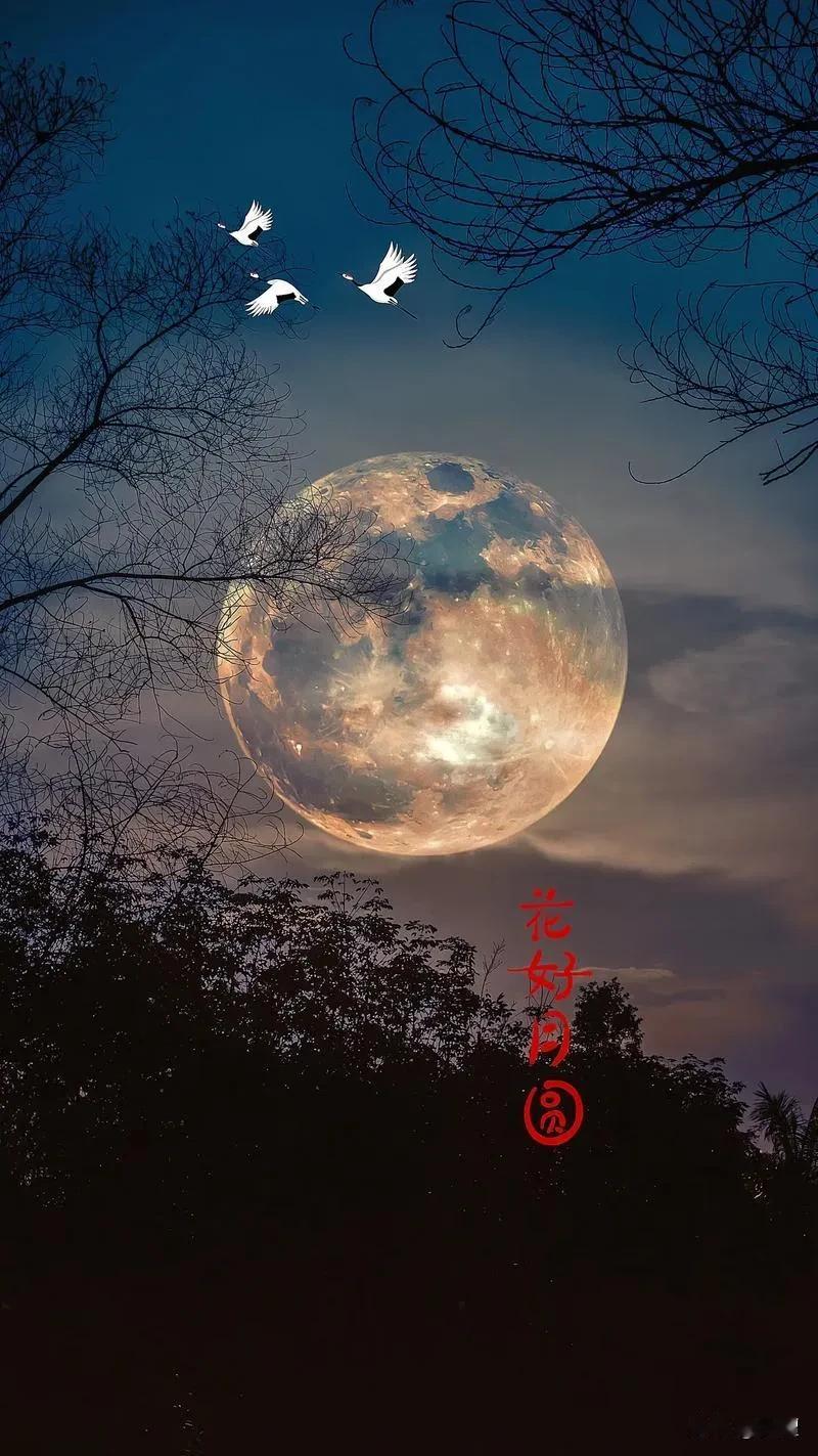 什么是周期？说个近期很应景的通俗逻辑：八月十五的月亮🌙为什么总是圆的！

听懂