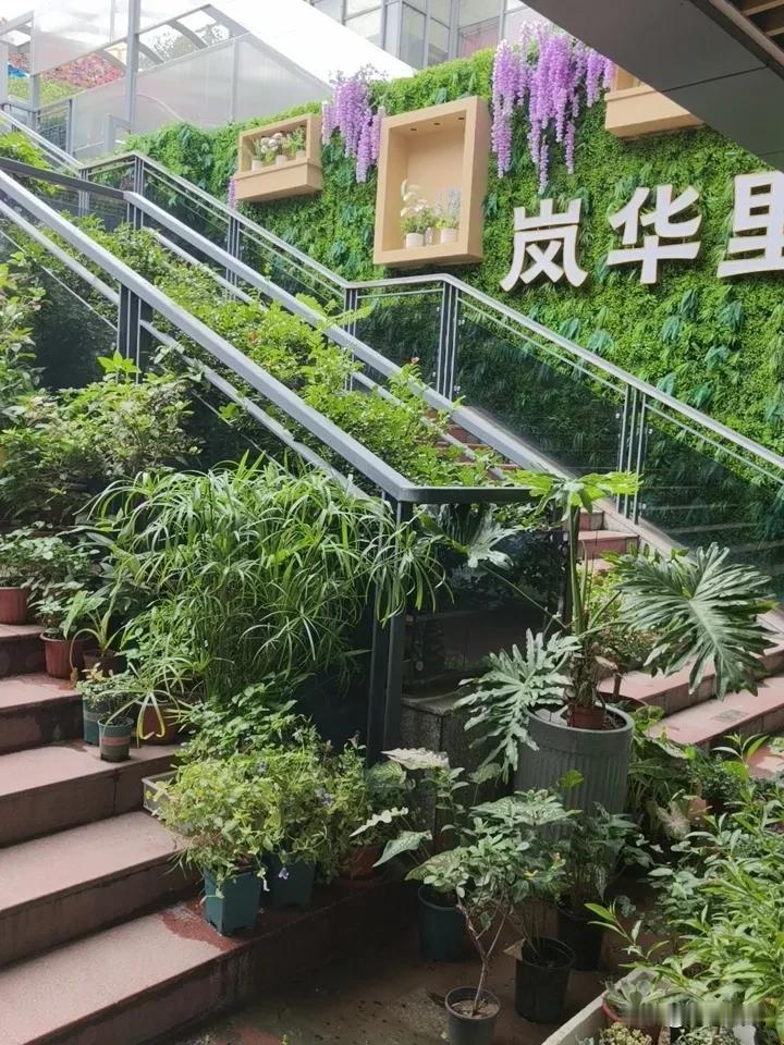 医生和教师，曾经是大家都羡慕的职业，薪酬高，稳定，受人尊敬。可现在却成了“劝人行