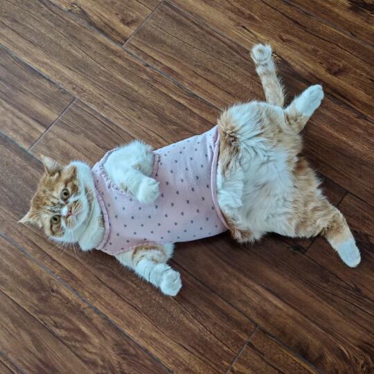 新衣服哈哈哈哈哈哈哈