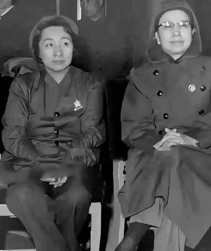 一言难尽说江青，一言难尽说叶群…
