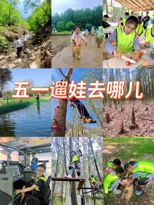 西安户外遛娃🌈摸鱼捉虾挖笋爬山约起来