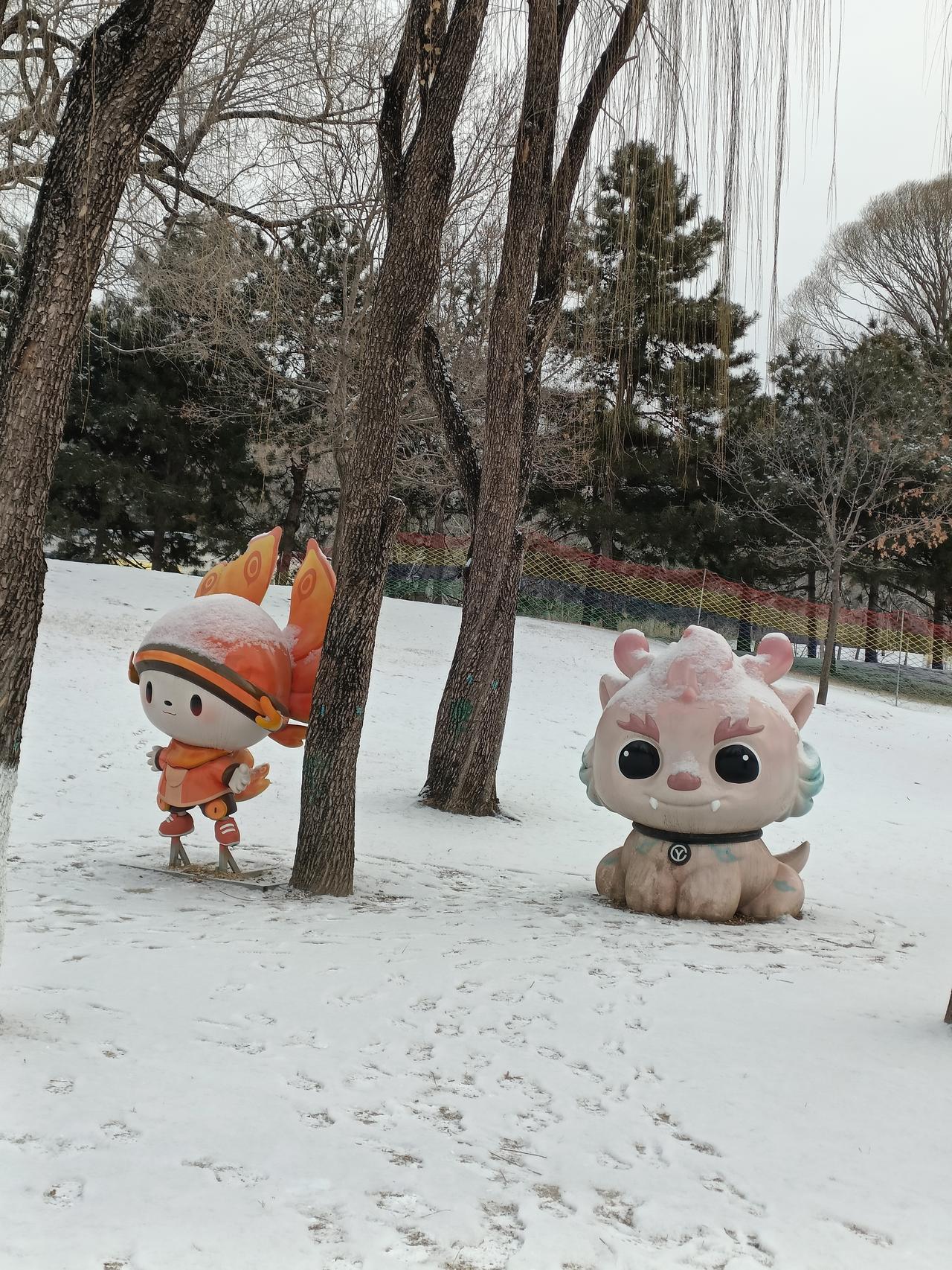 晒图笔记大赛公园雪后景色