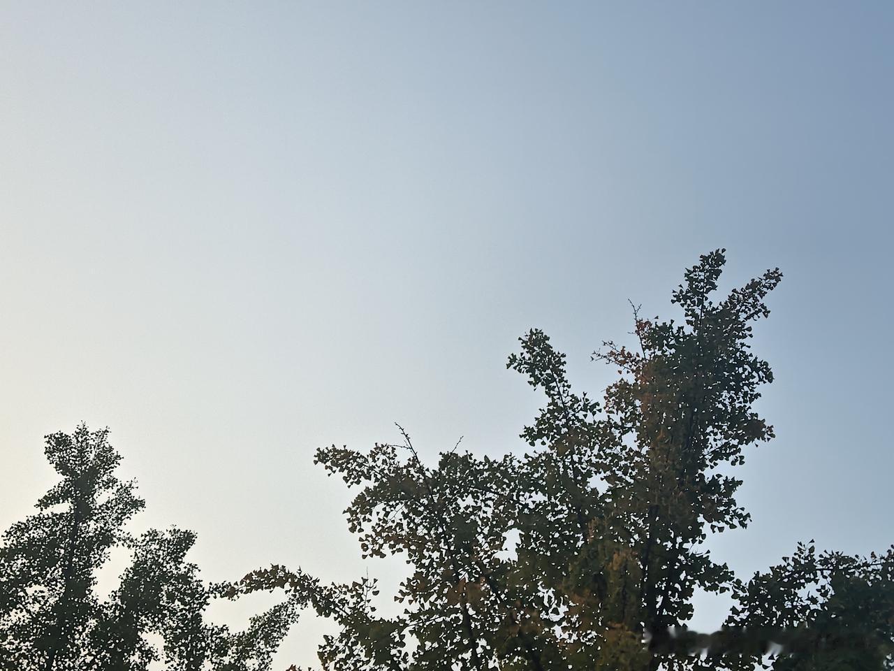 又是崭新的一天
一天好心情