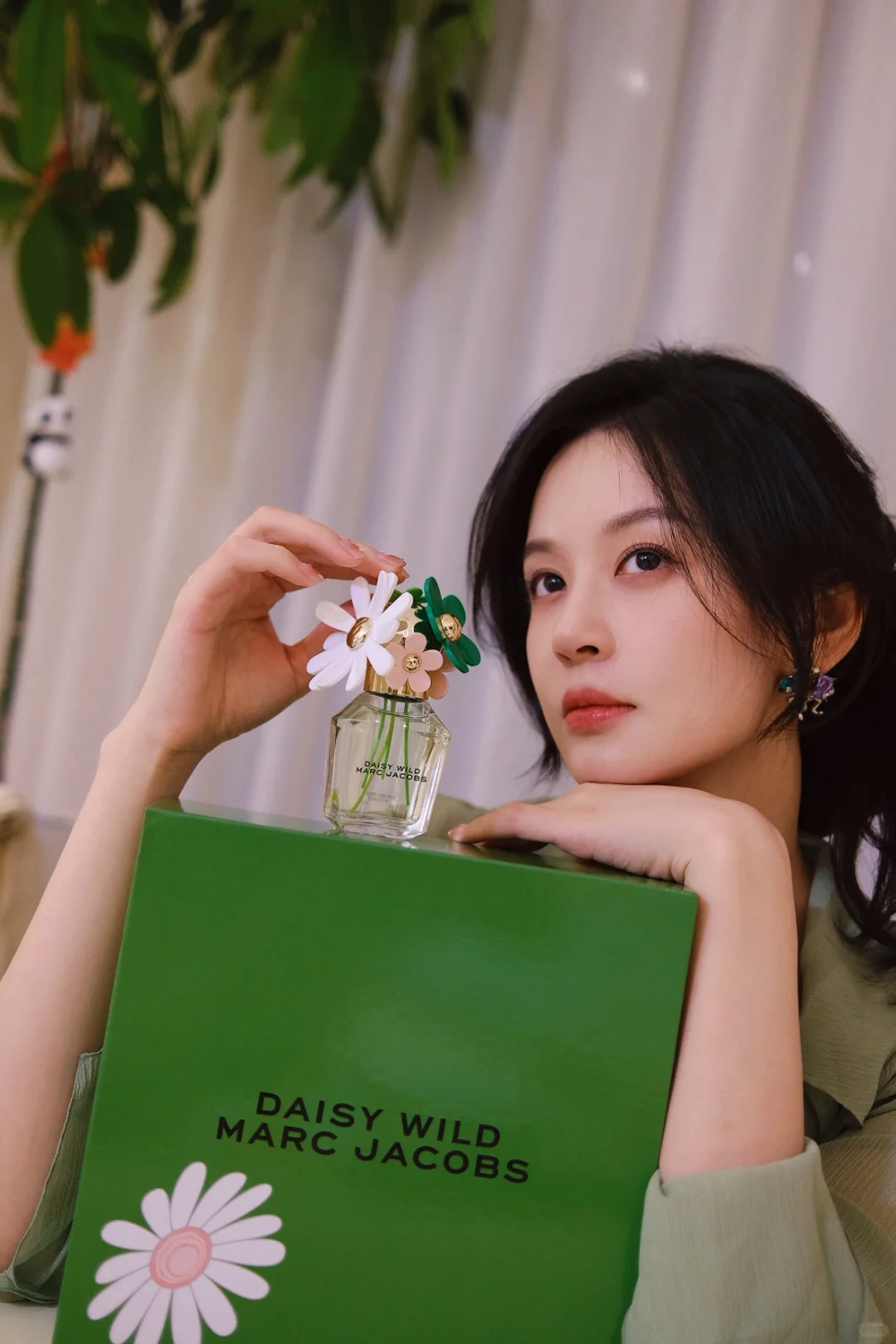 夏日的绿野小花🌸