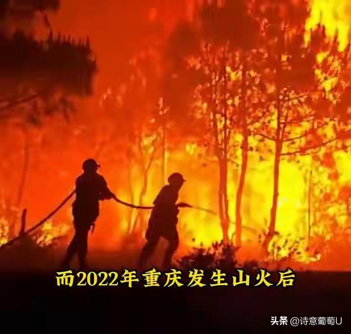 咱们中国军民之间的情谊，就像熊猫和竹林一样密不可分！有位宝妈突然想上厕所，急得不