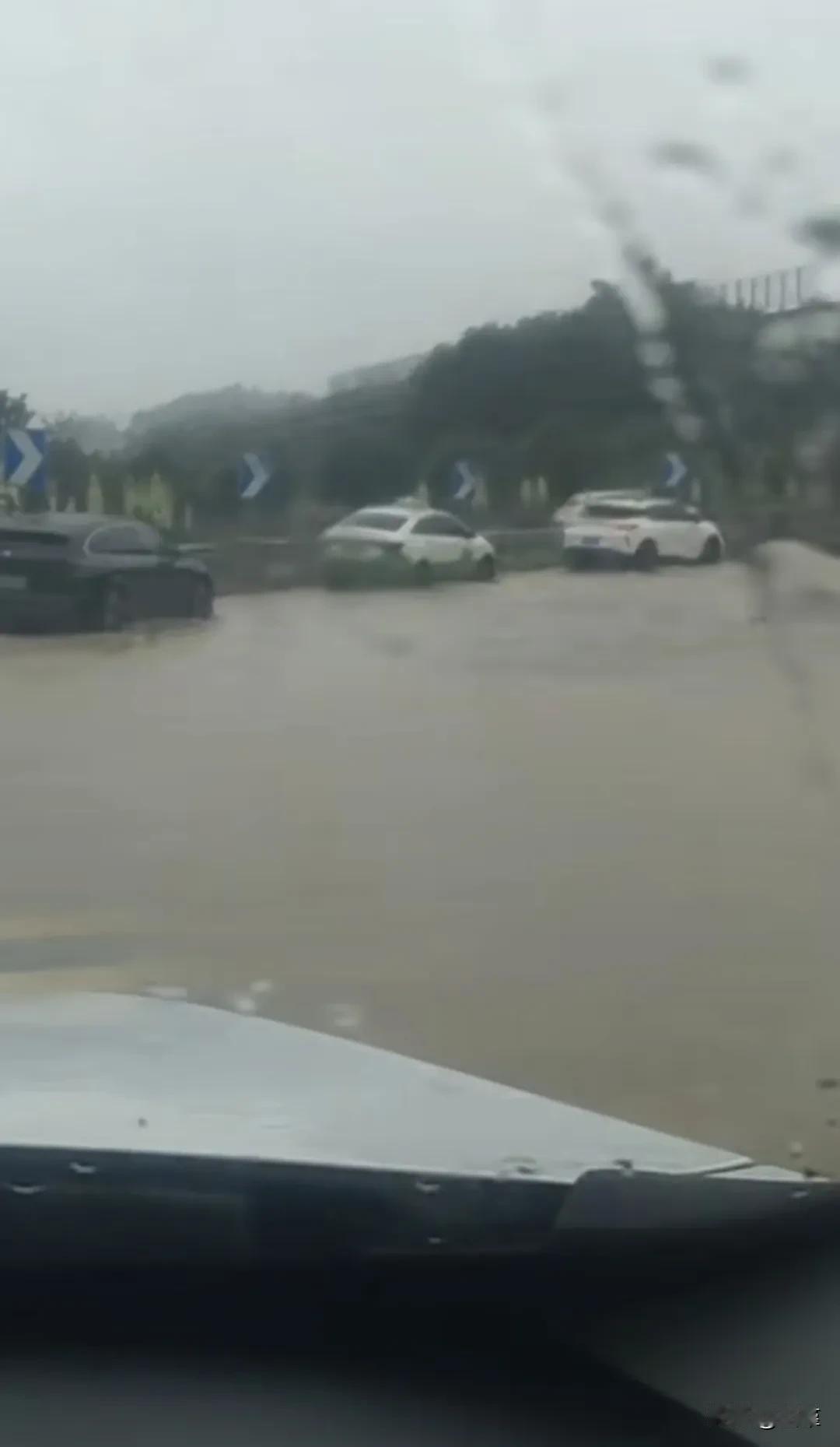台风来了，又是大风，又是暴雨，部分低洼路段开始积水。
学校停课一天，虽然有部分家