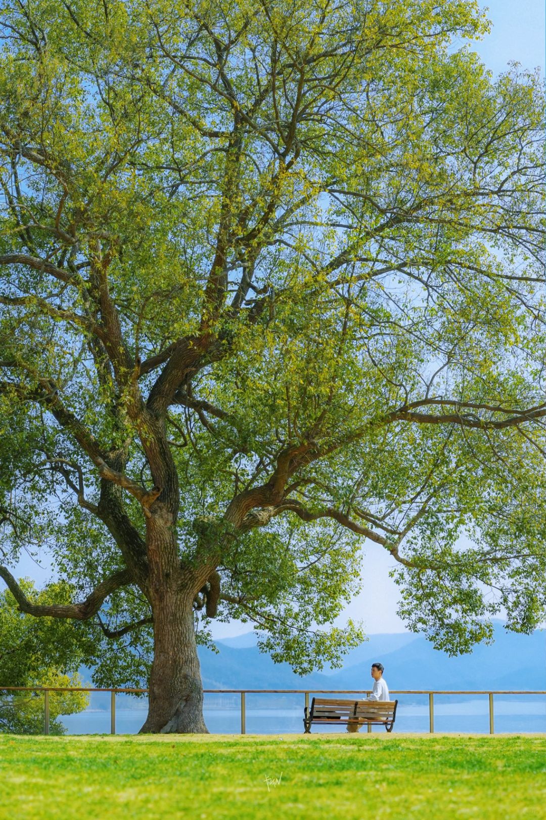 宁波东钱湖踏春刚回来🍃说说我的大实话❗️