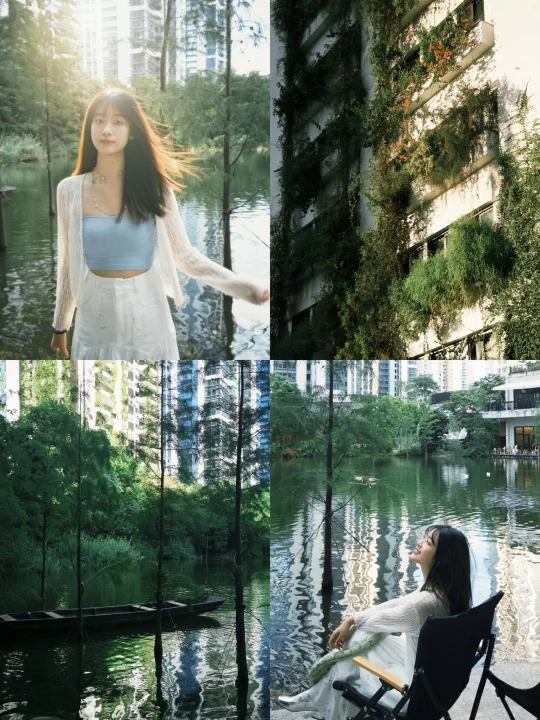 🍃在深圳我找到了牛马的精神避难所